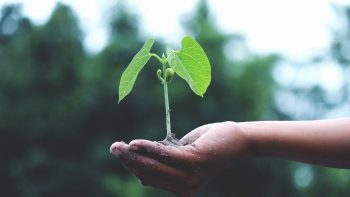 Tunaikan Zakat